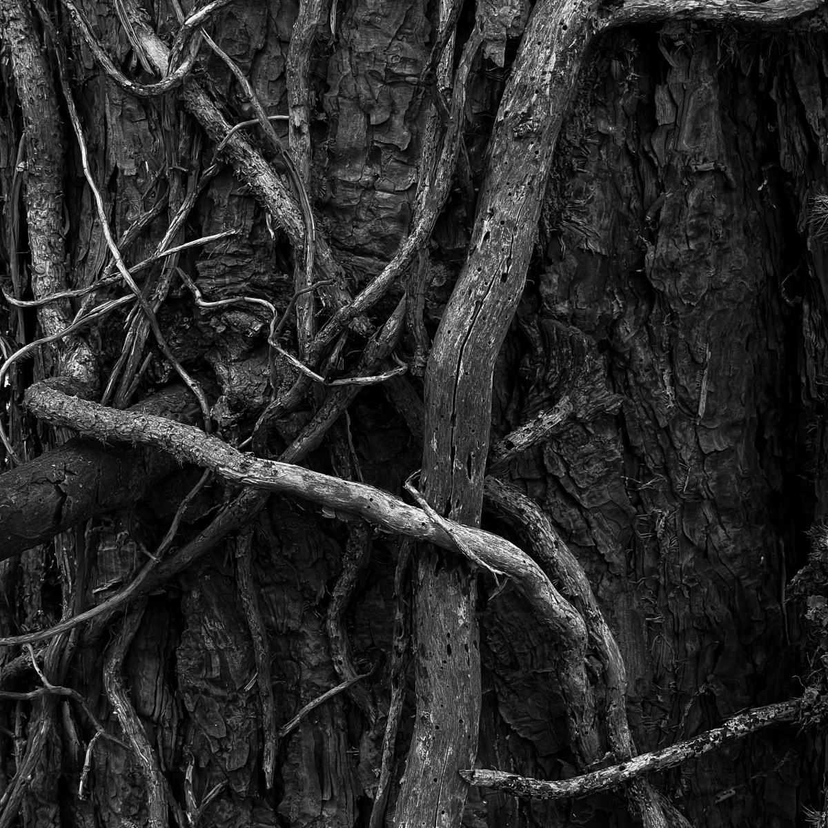 Love: How Christianity United Story and Reason — and Why It Still Matters&nbsp;Today