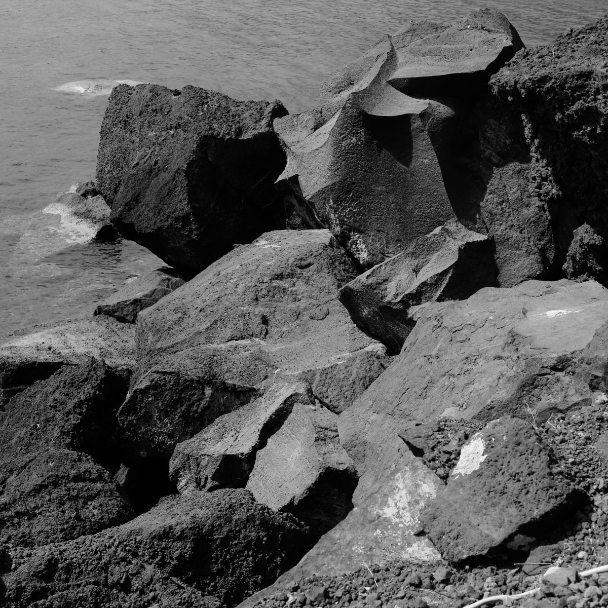 Polycarp’s Unshakable Faith: A Model of True&nbsp;Identity